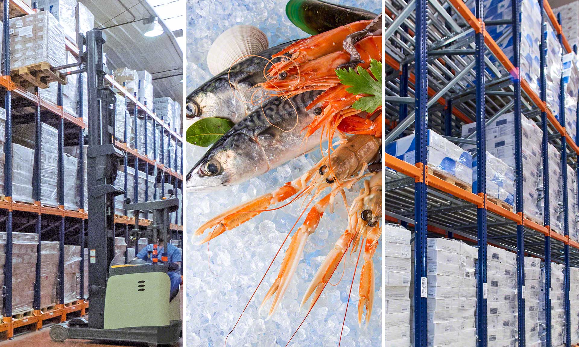 L'entrepôt de Rainforest Seafoods de poissons et fruits de mer surgelés
